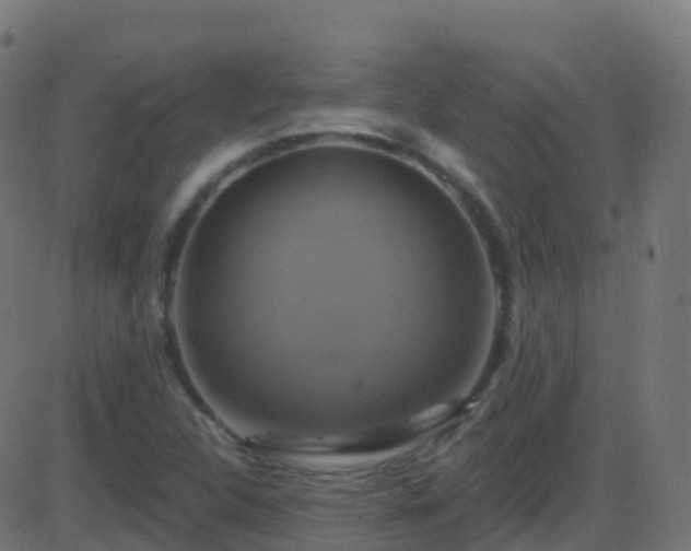 X0000086221312200704051230