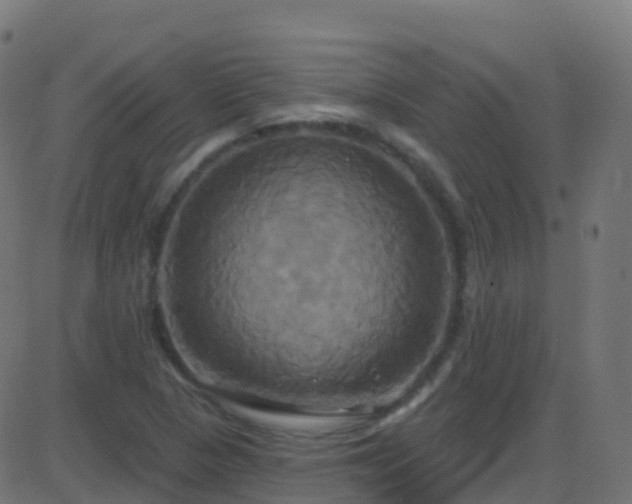 X0000086221313200704051230