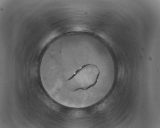 X0000086221314200704051230