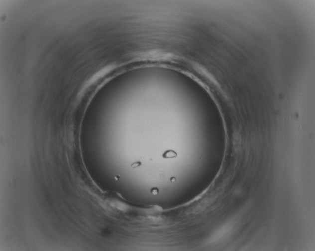 X0000086221315200704051230