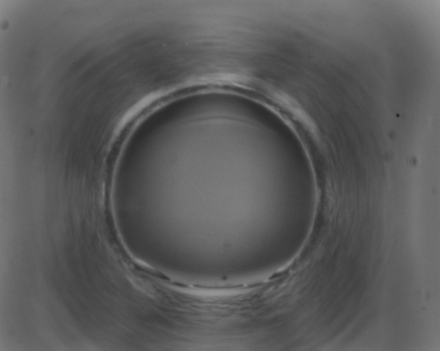 X0000086221316200704051230