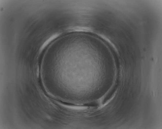 X0000086221317200704051230