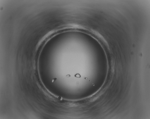 X0000086221318200704051230