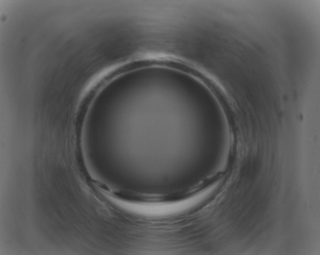 X0000086221319200704051230