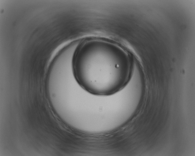 X0000086221320200704051230