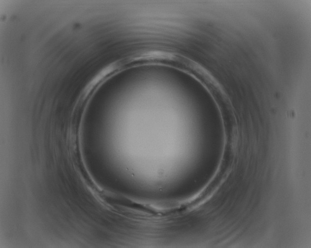 X0000086221321200704051230