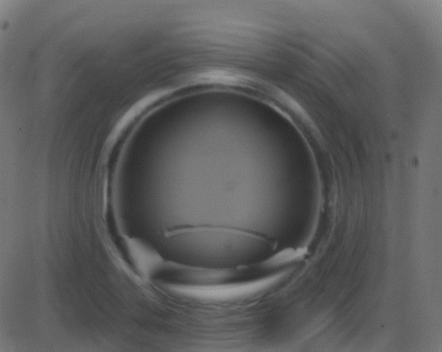 X0000086221323200704051230