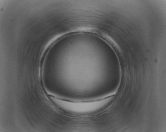 X0000086221324200704051230