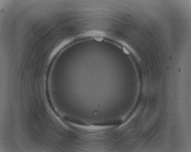 X0000086221325200704051230