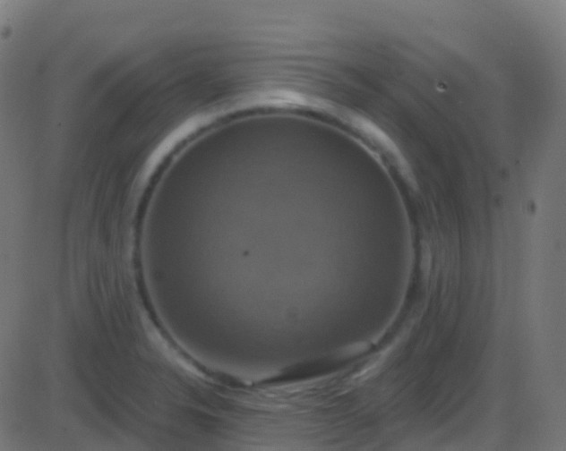 X0000086221326200704051230