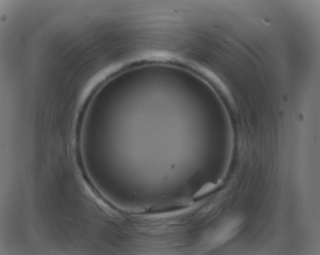 X0000086221327200704051230