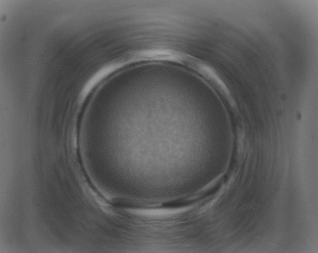 X0000086221328200704051230