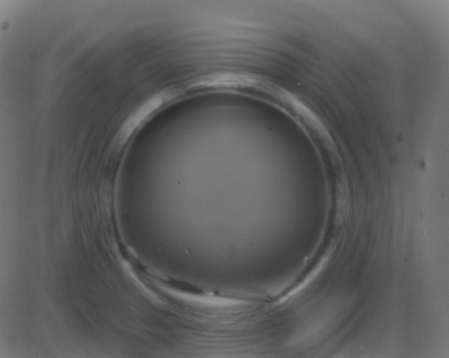 X0000086221329200704051230