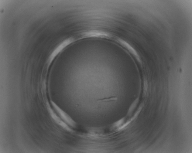 X0000086221330200704051230