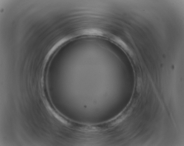 X0000086221331200704051230