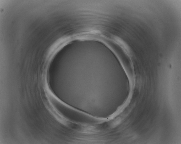 X0000086221332200704051230