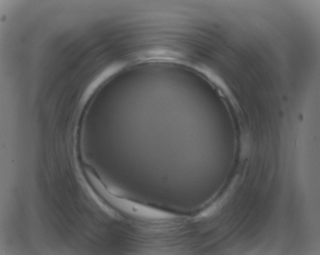 X0000086221333200704051230