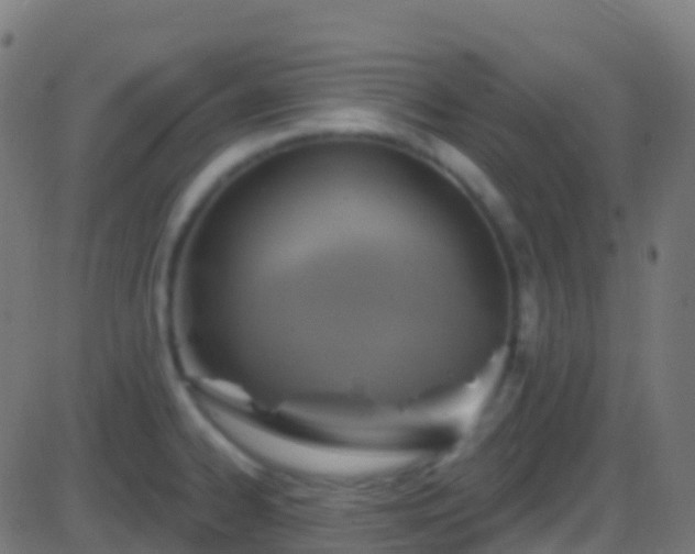 X0000086221334200704051230