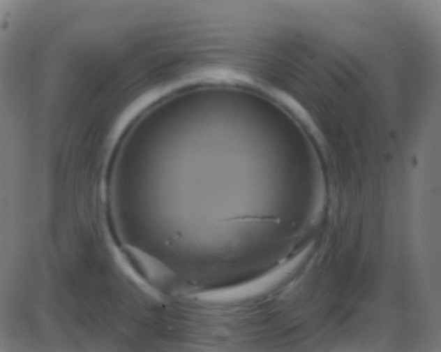 X0000086221335200704051230