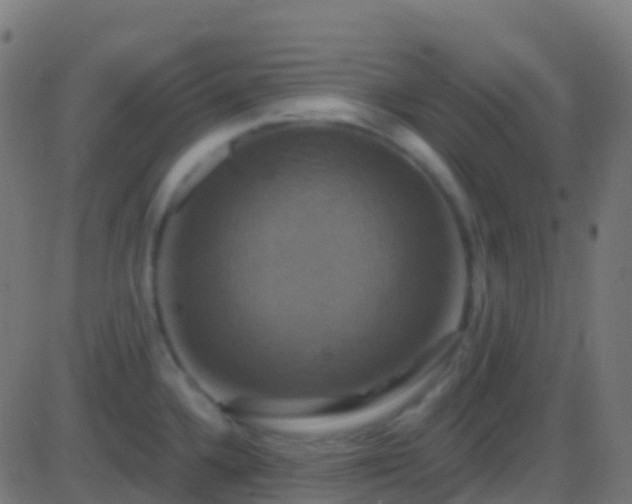 X0000086221336200704051230