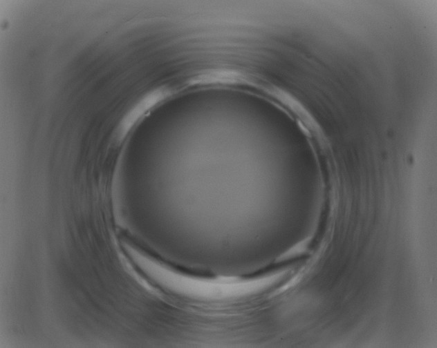 X0000086221337200704051230