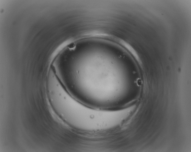 X0000086221338200704051230