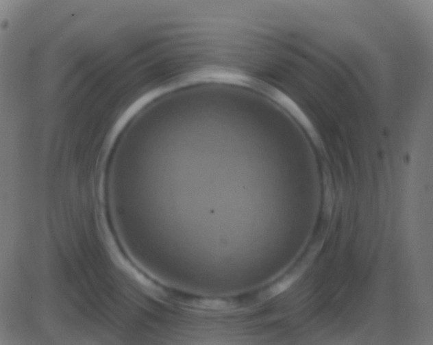 X0000086221339200704051230