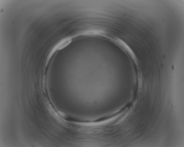 X0000086221340200704051230