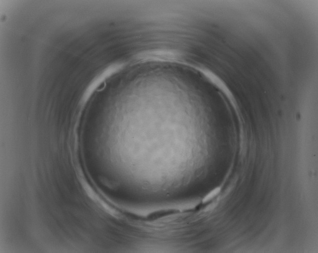 X0000086221341200704051230