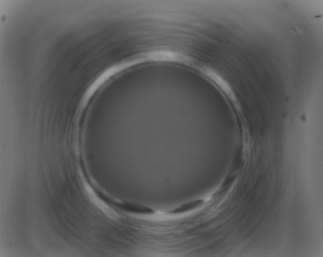 X0000086221342200704051230