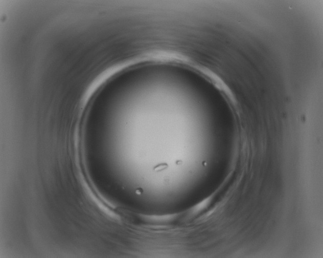 X0000086221343200704051230