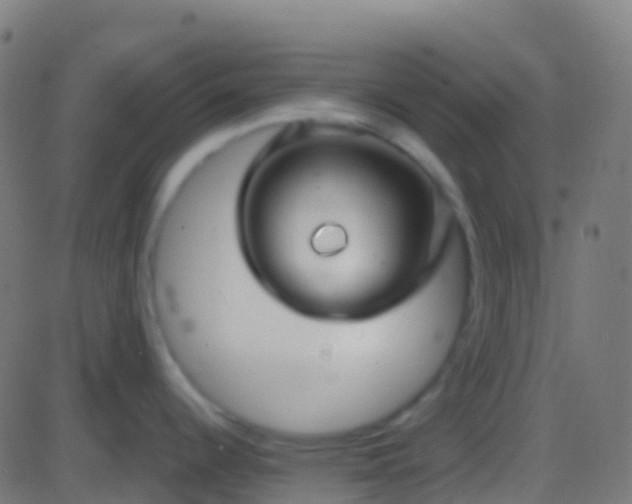 X0000086221344200704051230