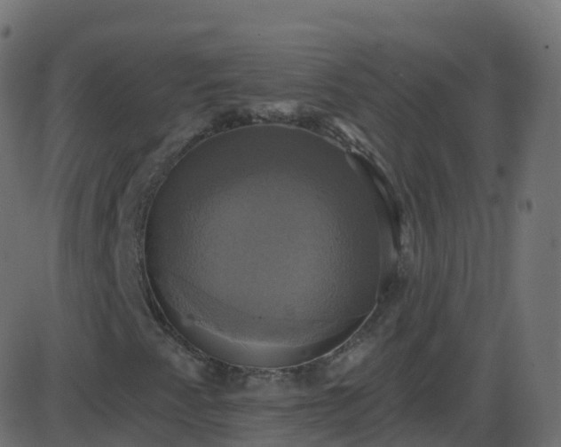 X0000086221345200704051229