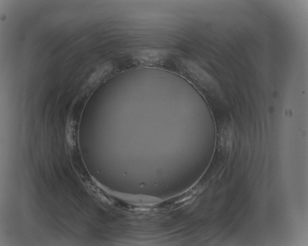 X0000086221346200704051229