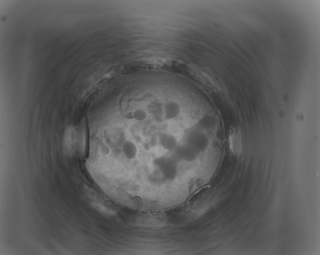 X0000086221347200704051229