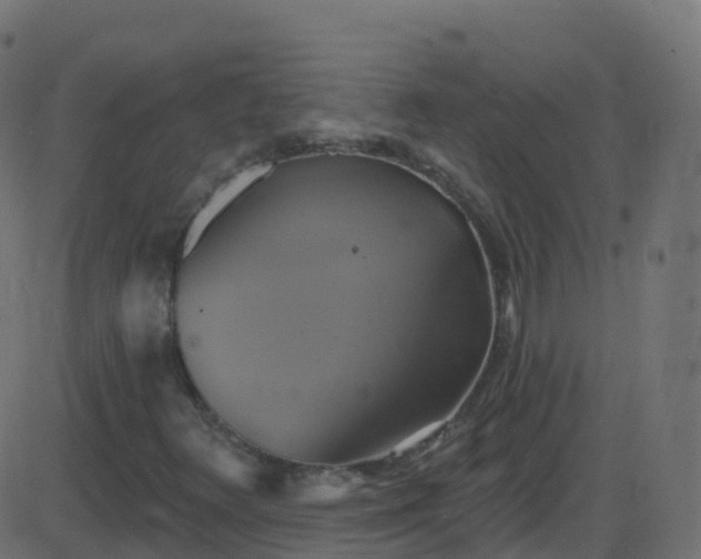 X0000086221348200704051229