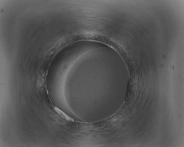 X0000086221349200704051229