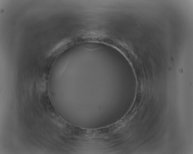 X0000086221350200704051229