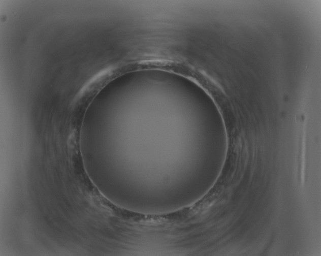 X0000086221351200704051229