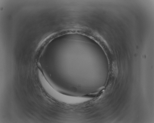 X0000086221352200704051229