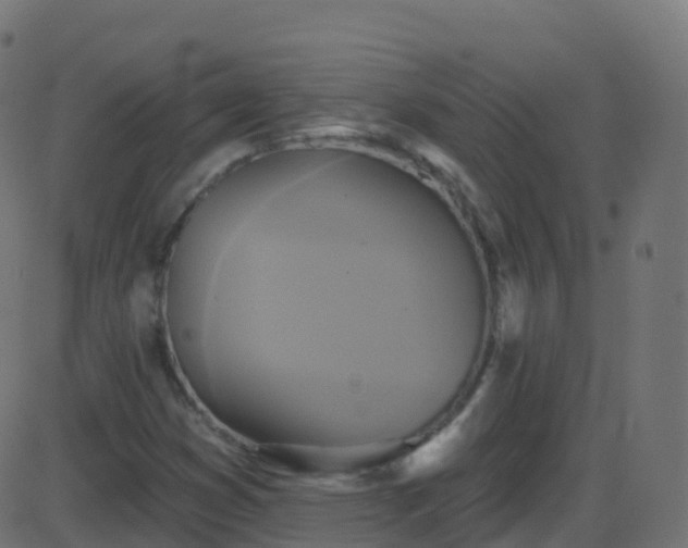 X0000086221353200704051229