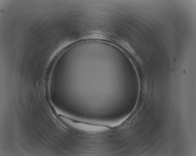 X0000086221356200704051229