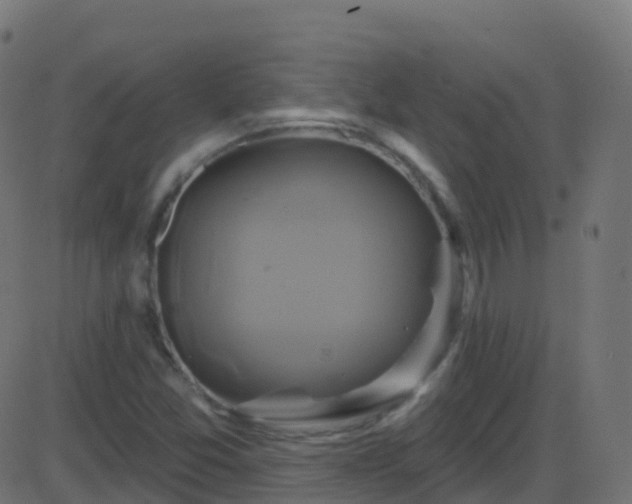 X0000086221357200704051229