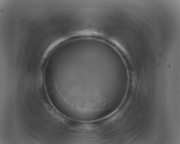 X0000086221358200704051229