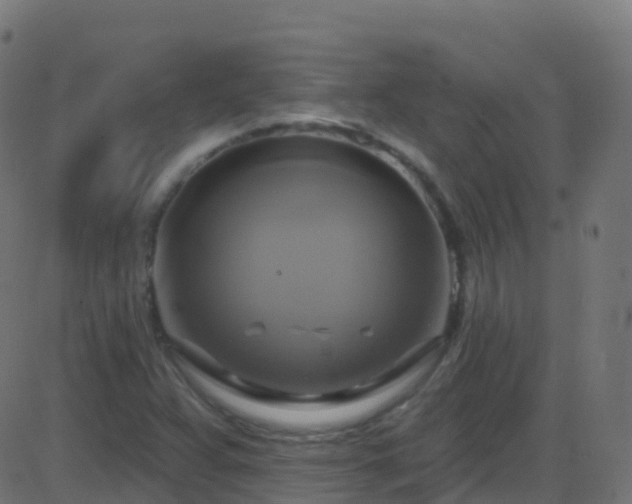 X0000086221359200704051229