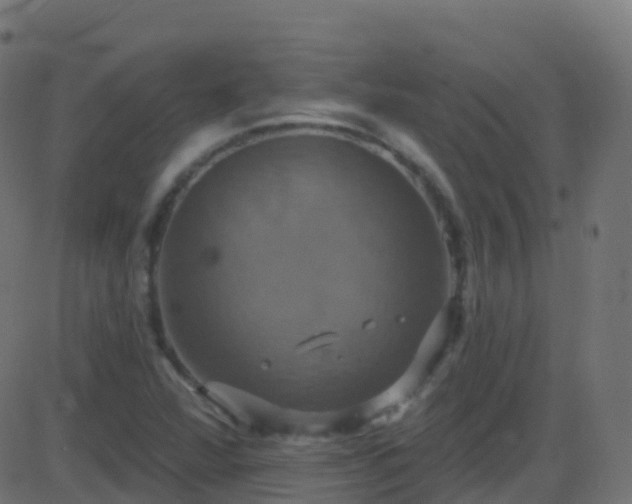 X0000086221360200704051229