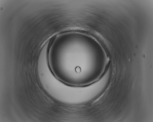 X0000086221361200704051229