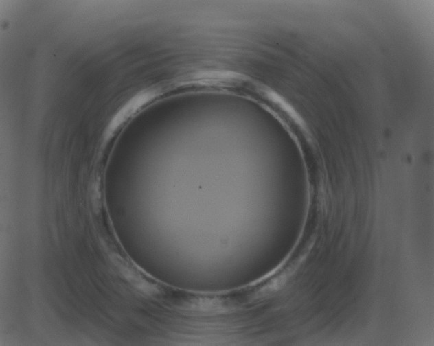 X0000086221362200704051229