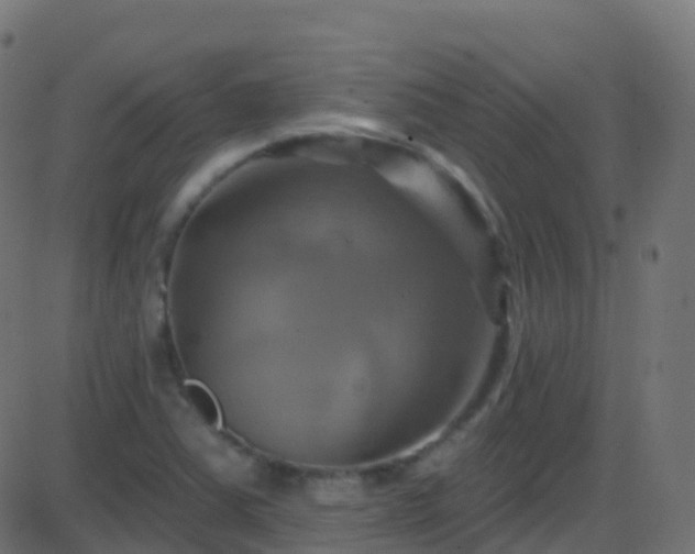 X0000086221363200704051229