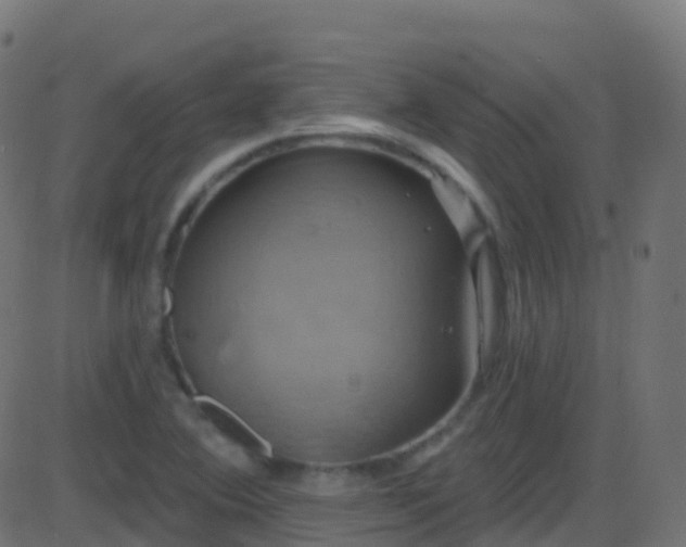 X0000086221364200704051229